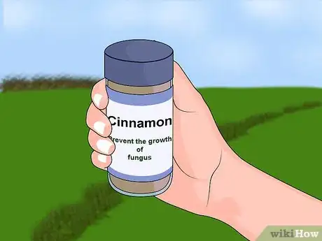 Image intitulée Make Homemade Hormone Rooting Powder or Tonic Step 4