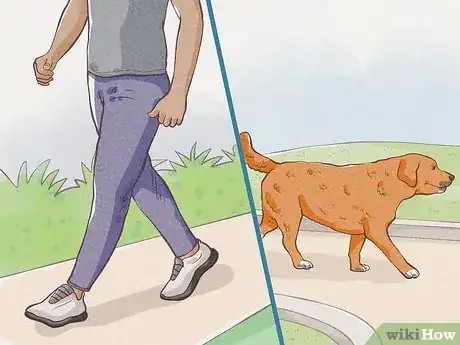 Image intitulée Protect Yourself from Dogs While Walking Step 12