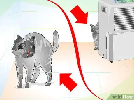 Image intitulée Care for Your Cat After Neutering or Spaying Step 17