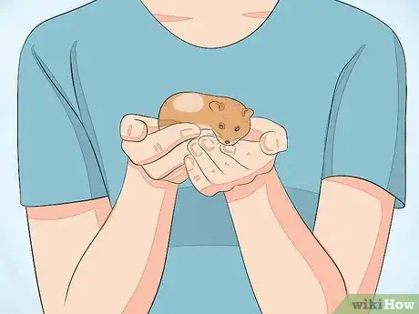 Image intitulée Hold a Hamster Step 8