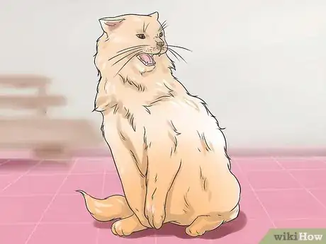 Image intitulée Stop a Cat from Biting and Scratching Step 12