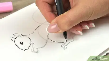 Image intitulée Draw a Squirrel Step 20