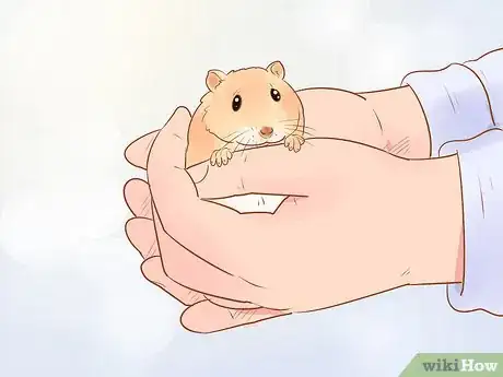 Image intitulée Care for Dwarf Hamsters Step 11