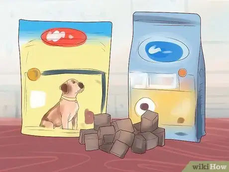 Image intitulée Train a Boxer Puppy Step 3