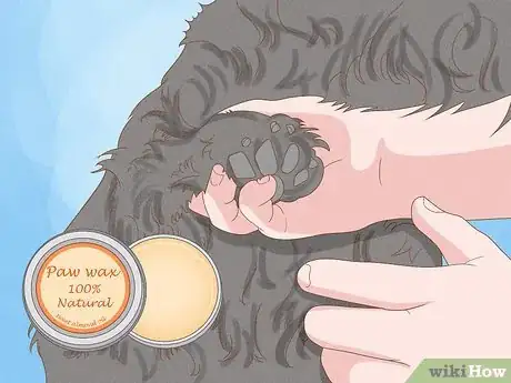 Image intitulée Stop a Dog from Licking Its Paws with Home Remedies Step 11