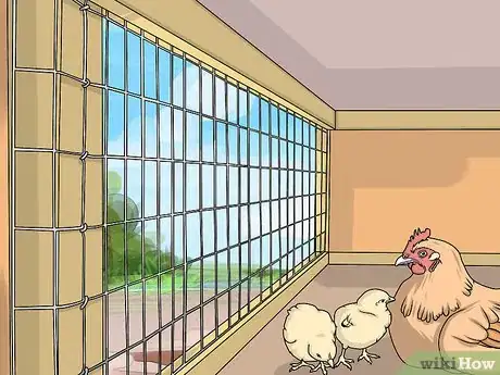 Image intitulée Take Care of Chickens Step 15