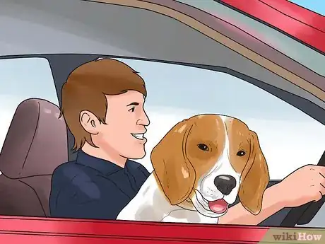 Image intitulée Take Care of a Beagle Puppy Step 21