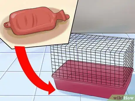 Image intitulée Treat Your Sick Hamster Step 2