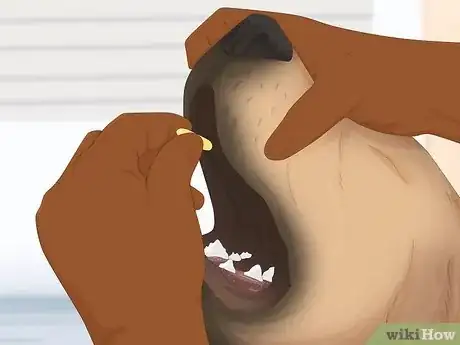 Image intitulée Treat Canine Stroke Step 8