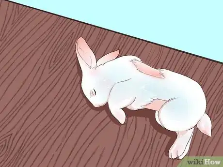 Image intitulée Transport a Rabbit Step 14