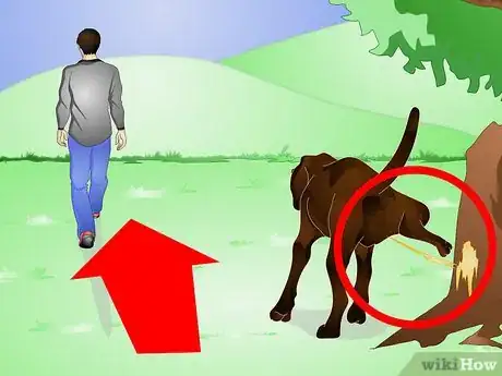 Image intitulée Stop Dog Marking Behaviors Step 7