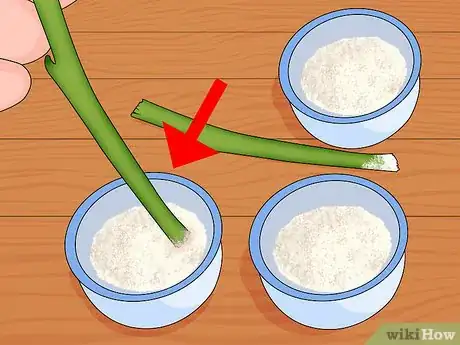 Image intitulée Make Homemade Hormone Rooting Powder or Tonic Step 3