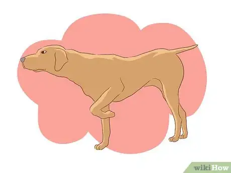 Image intitulée Help Your Dog Deal with the Death of Another Dog Step 2