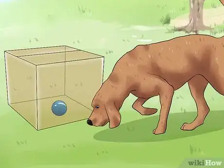 Image intitulée Teach a Dog to Track Step 7