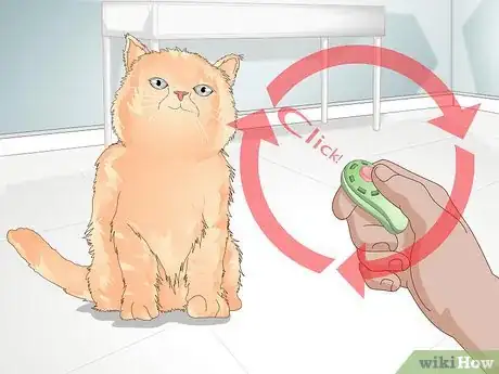 Image intitulée Teach Your Cat to Give a Handshake Step 5