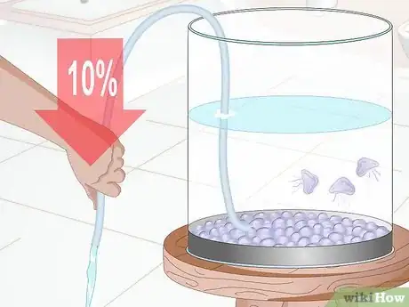 Image intitulée Start a Jellyfish Tank Step 16
