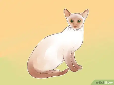 Image intitulée Identify Cats Step 9