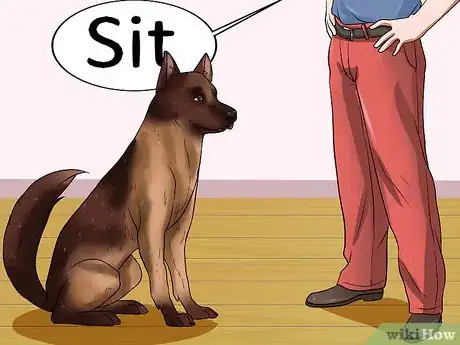 Image intitulée Teach a Dog to Track Step 4