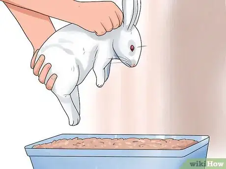 Image intitulée Litter Train a Rabbit Step 12