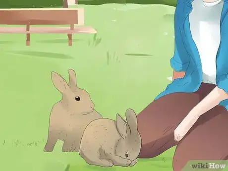 Image intitulée Understand Your Rabbit Step 18