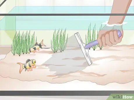 Image intitulée Do a Water Change in a Freshwater Aquarium Step 5