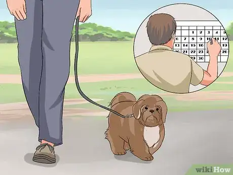 Image intitulée Train Your Shih Tzu Step 3