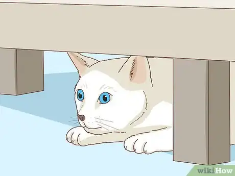 Image intitulée Tell if Your Cat Is Depressed Step 8