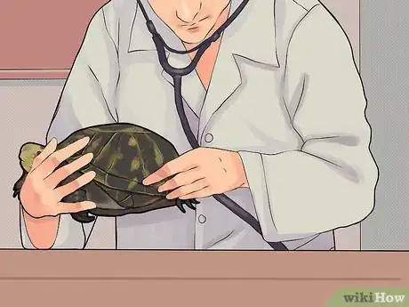 Image intitulée Care for a Hibernating Turtle Step 2