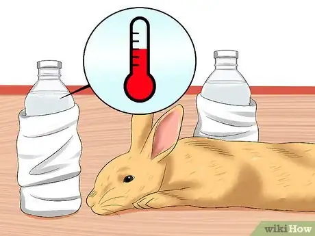 Image intitulée Treat Digestive Problems in Rabbits Step 12