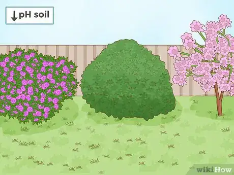 Image intitulée Lower Soil pH Step 11