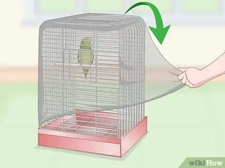 Image intitulée Set Up a Parrotlet Cage Step 10