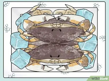 Image intitulée Cook a Crab Step 4