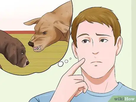 Image intitulée Get Your Puppy to Stop Biting Step 2