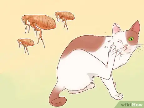 Image intitulée Know if Your Cat Is Sick Step 16