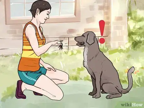 Image intitulée Stop Your Dog from Barking at Strangers Step 6