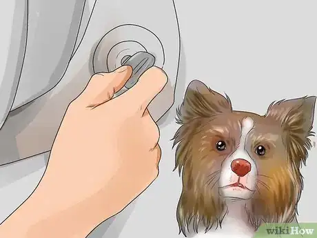 Image intitulée Deal With Your Dog's Fear of Vehicles Step 15