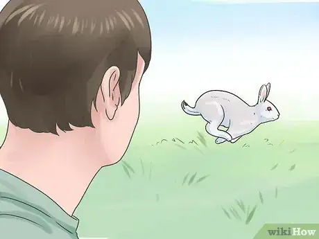 Image intitulée Litter Train a Rabbit Step 15