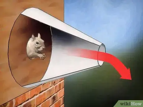Image intitulée Catch a Squirrel Step 3