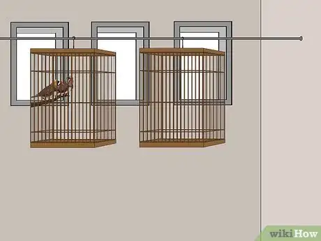 Image intitulée Breed Zebra Finches Step 5