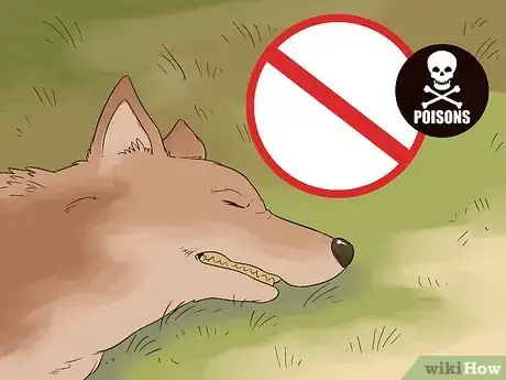 Image intitulée Survive a Coyote Attack Step 13