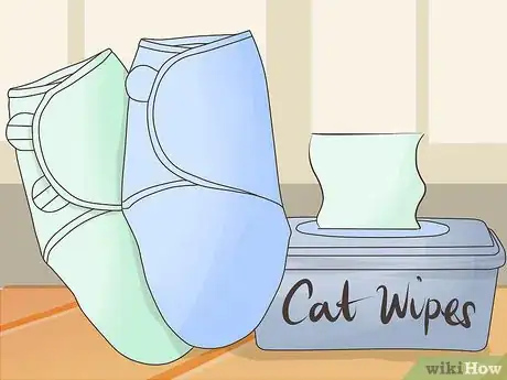 Image intitulée Transport Cats by Plane Step 12