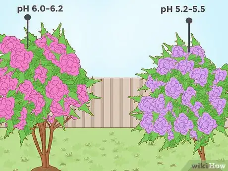 Image intitulée Lower Soil pH Step 13