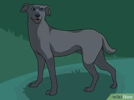 Image intitulée Draw a Dog Step 13