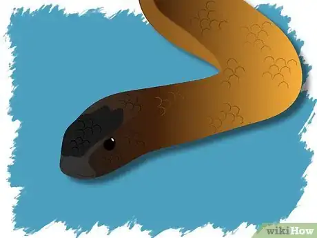 Image intitulée Identify a Venomous Snake Step 18