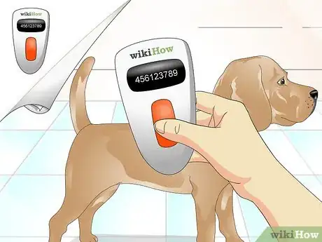 Image intitulée Tell if a Dog Is Microchipped Step 3