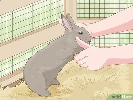 Image intitulée Care for a New Pet Rabbit Step 7