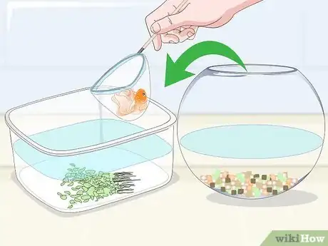 Image intitulée Clean a Fish Bowl Step 6