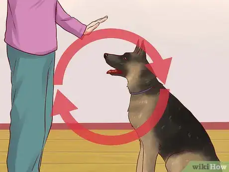 Image intitulée Teach Your Dog Basic Commands Step 4