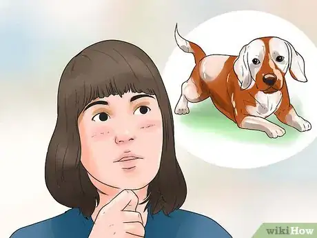 Image intitulée Take Care of a Beagle Puppy Step 1