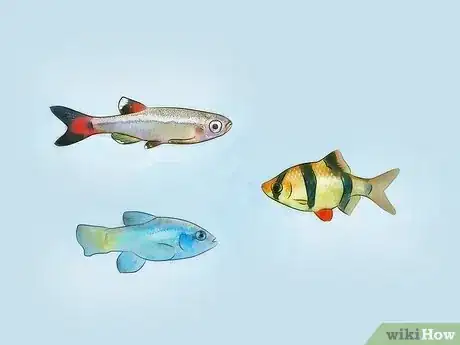 Image intitulée Cycle a Fish Tank Step 2